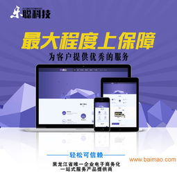 國內(nèi)權(quán)威網(wǎng)站關(guān)鍵詞優(yōu)化軟件公司深度解析 以哈爾濱258商務(wù)衛(wèi)士為例